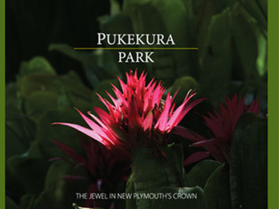 Pukekura Park.