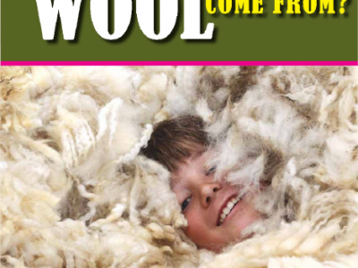 Where Does Wool Come From?