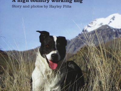 Mac - A High Country Working Dog